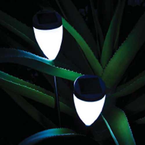 Solar Garden Lights