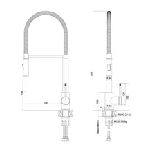 Load image into Gallery viewer, Franke Saturn Professional Sink Mixer