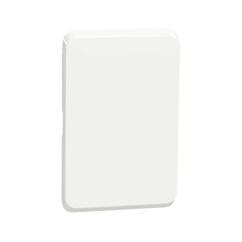 Schneider Electric Iconic Cover Plate Blank 2 x 4