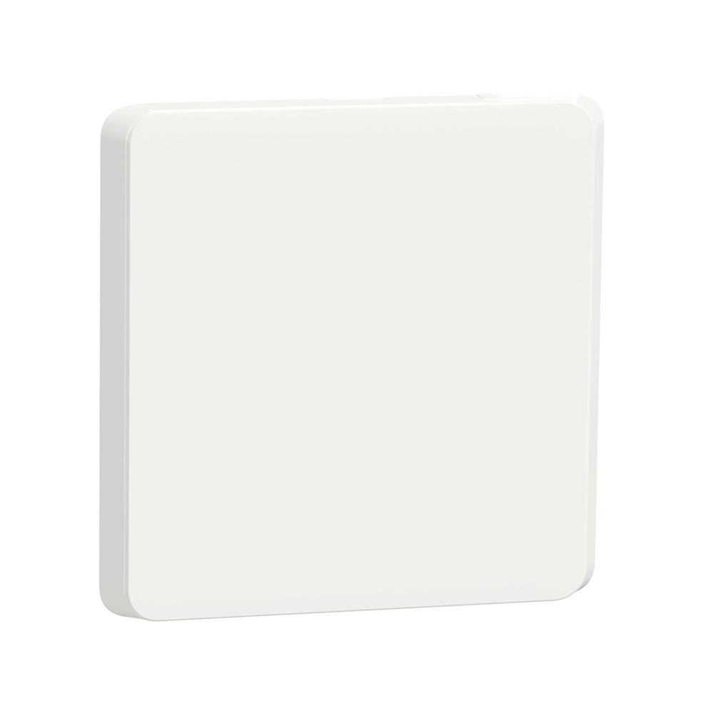 Schneider Electric Iconic Cover Plate Blank 4 x 4