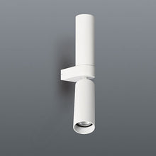 Load image into Gallery viewer, Spazio Banyan Adjustable Wall Light