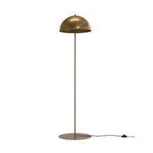 Load image into Gallery viewer, Wire World Metal Dome Hemisphere Floor Lamp