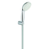 Grohe Tempesta 100 Hand Shower and Wall Holder