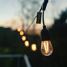 Load image into Gallery viewer, Litehouse Traditional LED Bulb Festoon String Lights