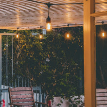 Load image into Gallery viewer, Litehouse Traditional LED Bulb Festoon String Lights