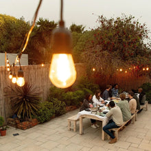 Load image into Gallery viewer, Litehouse Traditional LED Bulb Festoon String Lights