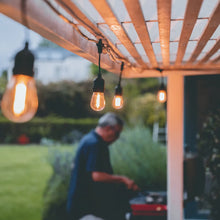 Load image into Gallery viewer, Litehouse Traditional LED Bulb Festoon String Lights