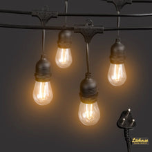 Load image into Gallery viewer, Litehouse Traditional LED Bulb Festoon String Lights