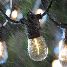 Load image into Gallery viewer, Litehouse Solar Traditional LED Bulb Festoon String Lights