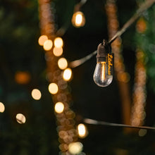 Load image into Gallery viewer, Litehouse Solar Traditional LED Bulb Festoon String Lights