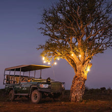 Load image into Gallery viewer, Litehouse Solar Traditional LED Bulb Festoon String Lights