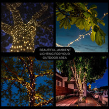 Load image into Gallery viewer, Litehouse Solar LED String Fairy Lights 3000K