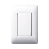 Legrand Ysalis 1 Lever 1-Way Large Light Switch 4 x 2