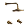 Trendy Taps Shower & Dual Modern Handles Brass