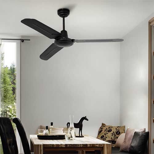 Ceiling Fans
