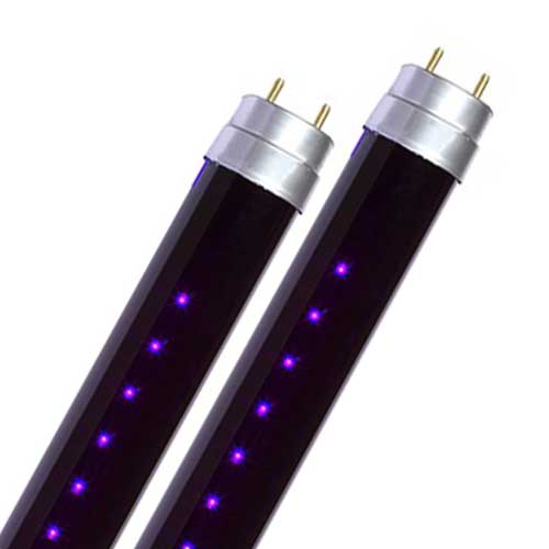 Blacklights