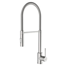 Load image into Gallery viewer, Franke Saturn Professional Sink Mixer
