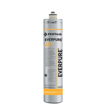 Load image into Gallery viewer, ZIP Pentair 4DC Universal In-Line Filter for Neptune Clearwater
