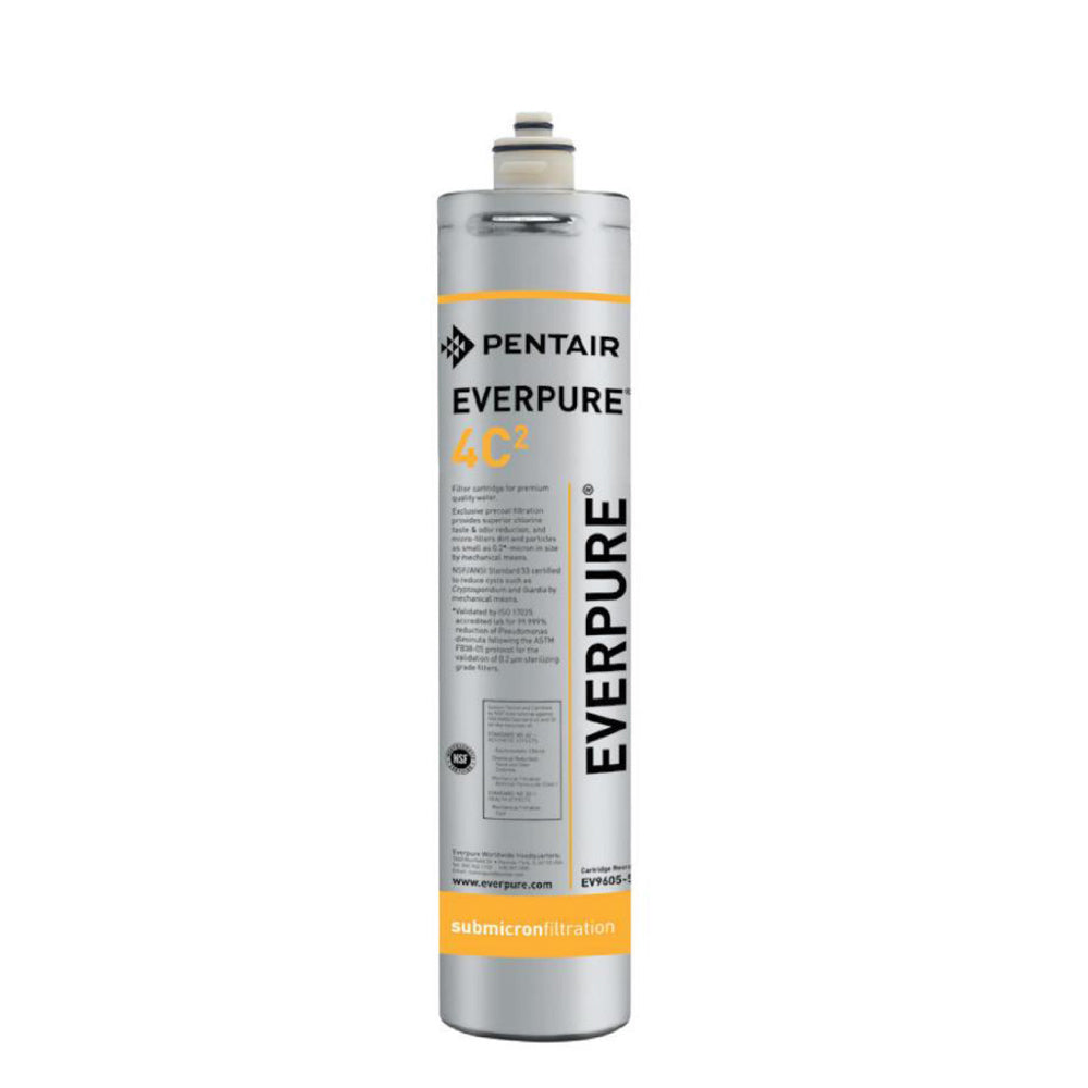 ZIP Pentair 4DC Universal In-Line Filter for Neptune Clearwater