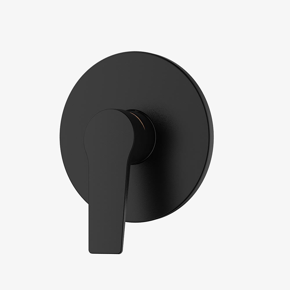 ※ saaa⭐︎ Franke Aspera Concealed Shower Mixer - Matt Black – Livecopper