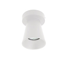 Load image into Gallery viewer, Spazio Kiddush Downlight
