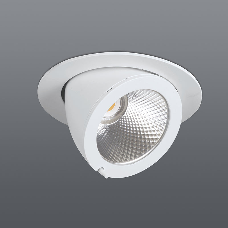 Spazio LED Die-Cast Compass 2 30W 3900lm Warm White Downlight