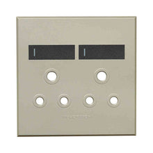 Load image into Gallery viewer, VETi &lt;i&gt;3&lt;/i&gt; Double RSA Socket Cover Plate 4 x 4
