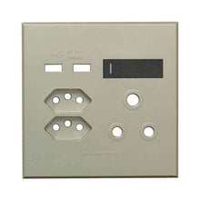 Load image into Gallery viewer, VETi &lt;i&gt;3&lt;/i&gt; USB Combo Socket Cover Plate 4 x 4
