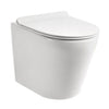 Vaal Entice Rimless Back-to-Wall Toilet