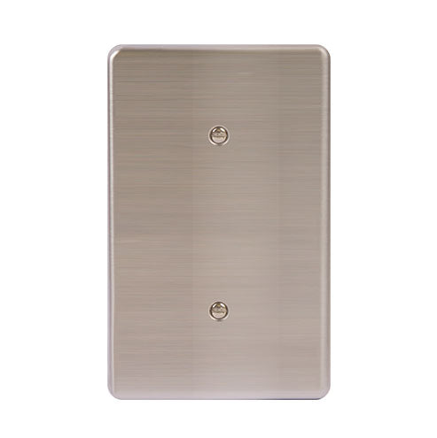 Lesco Stainless Steel Cover Plate Blank 2 x 4