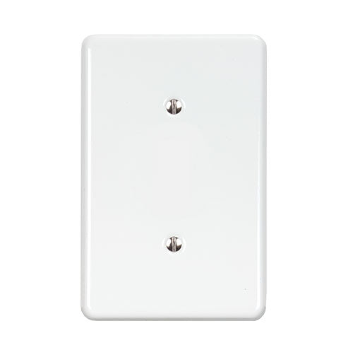 Lesco Steel Cover Plate Blank 2 x 4