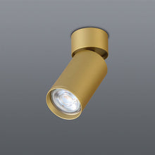 Load image into Gallery viewer, Spazio Kaapstad Aluminium Downlighter
