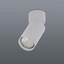 Load image into Gallery viewer, Spazio Kaapstad Aluminium Downlighter
