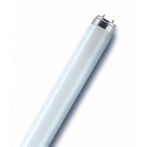 Osram Fluorescent Tube 36W T8 865 LUMILUX Daylight