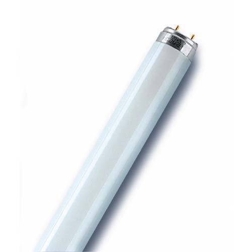 Osram Fluorescent Tube 2ft T8 G13 18W - Cool White