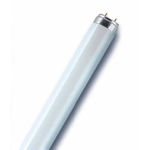 LEDVANCE Fluorescent Basic Plus Tube T8 G13 30W 2100lm 4000K 600mm