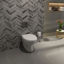 Load image into Gallery viewer, Lecico Atlas Back-to-Wall Toilet - Back Entry
