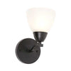 Bright Star Charcoal Wall Bracket Light