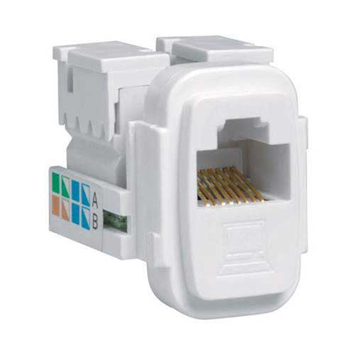 CBi PVC RJ45 Data Socket Module
