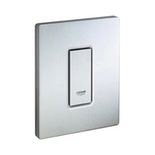 Load image into Gallery viewer, GROHE Skate Cosmopolitan WC Wall Plate - Stainless Steel
