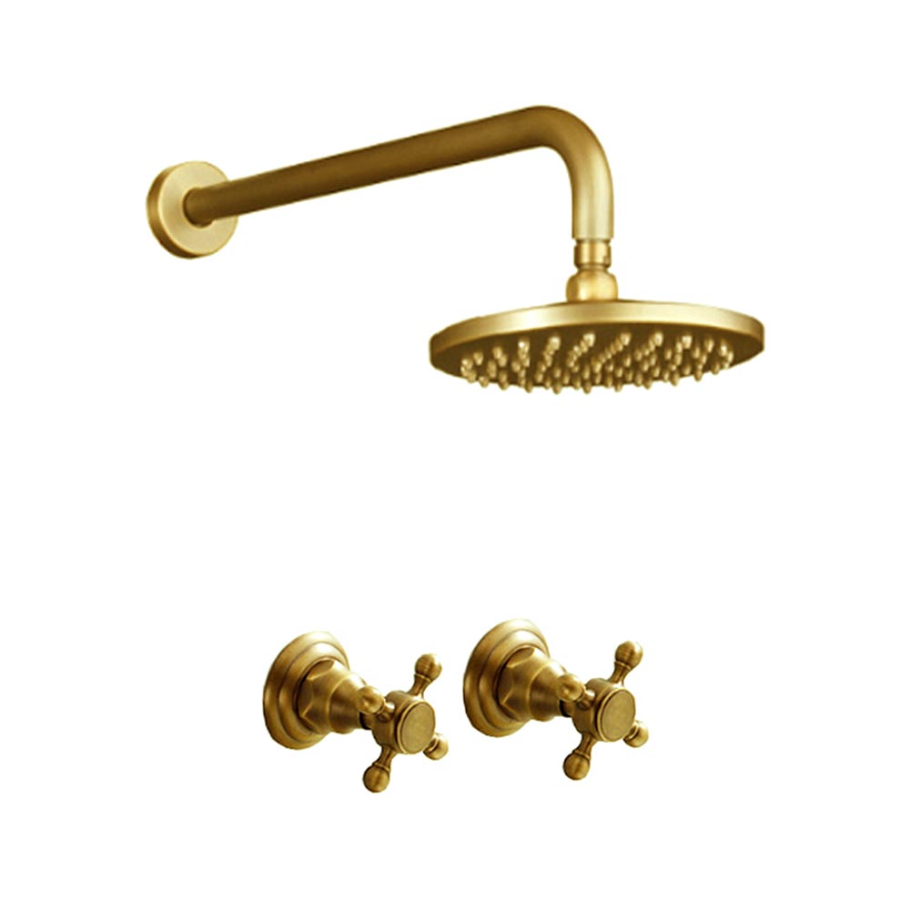 Trendy Taps Shower &  Antique Handles Brushed Gold