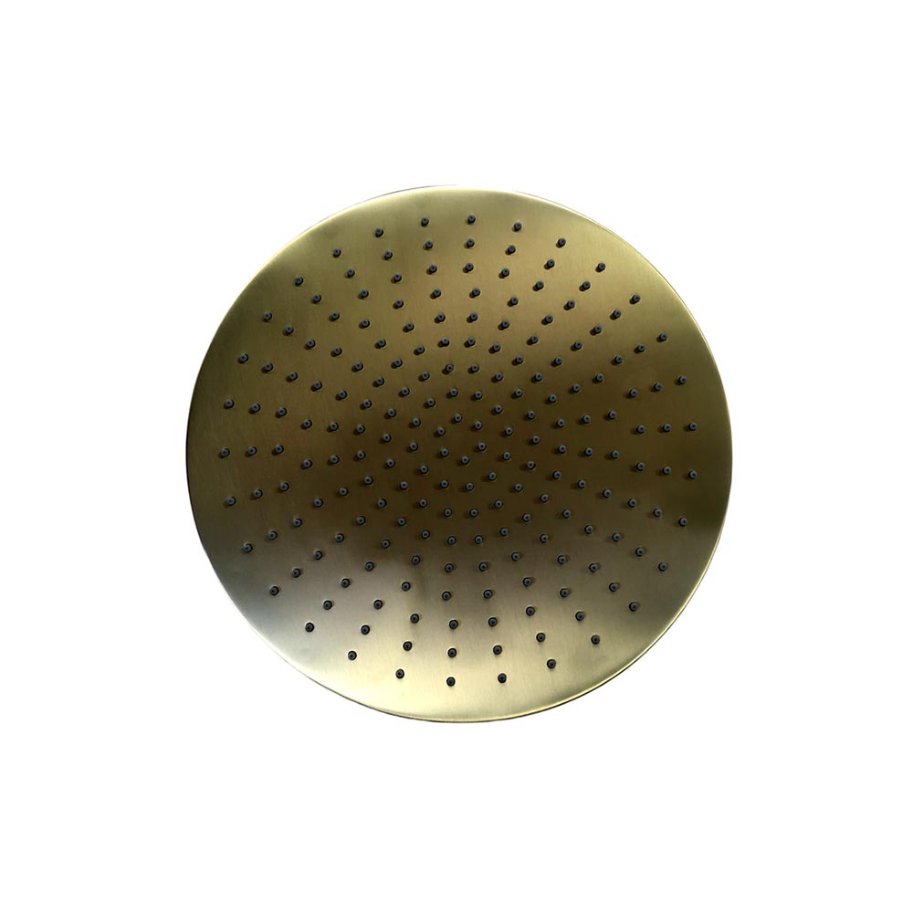 Trendy Taps Large Shower Head - Brushed Gold