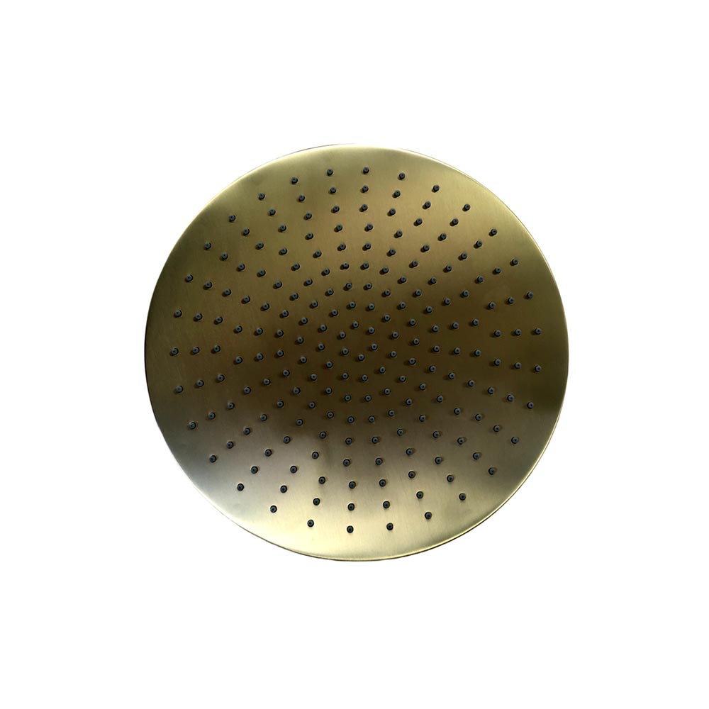 Trendy Taps Large Shower Head Brushed Gold
