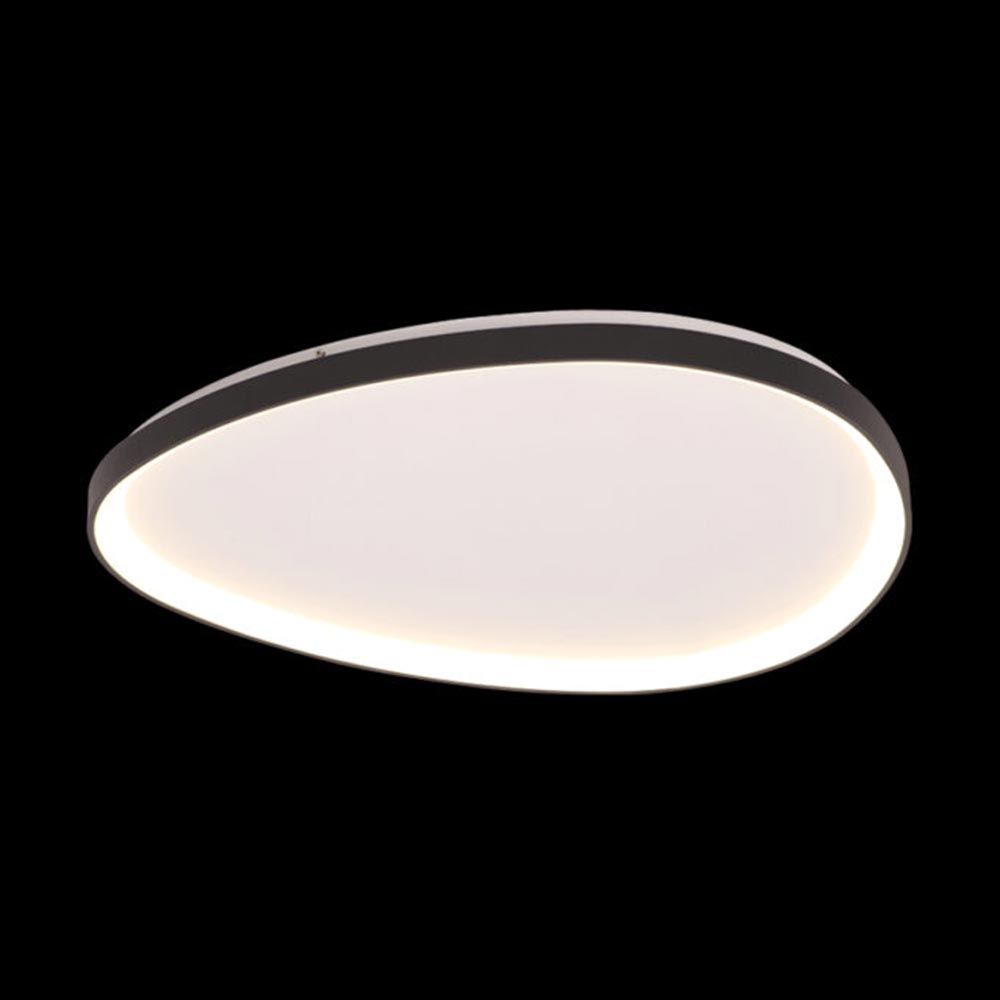 K. Light Ovoid Large LED Ceiling Light 3000K