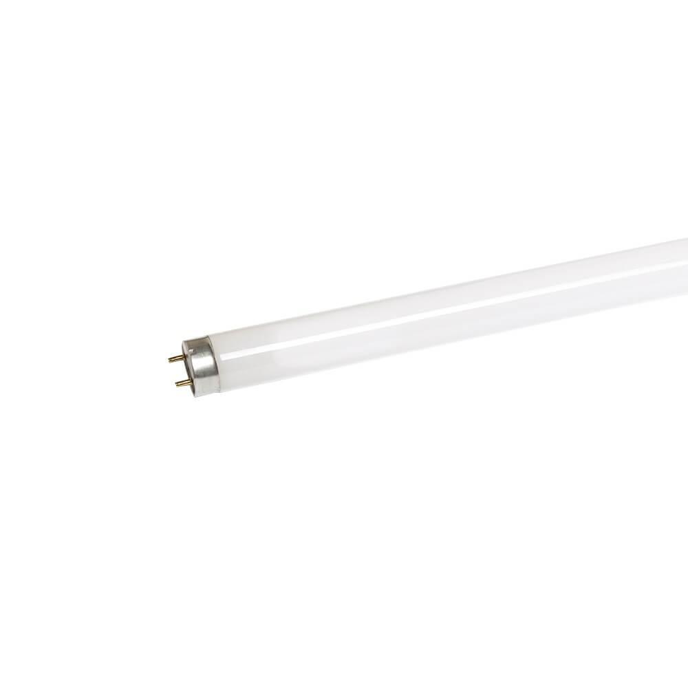 LEDVANCE Fluorescent Tube T8 G13 18W 1300lm 6500K 600mm