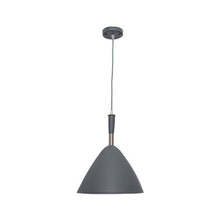 Load image into Gallery viewer, Metal Pendant 60W
