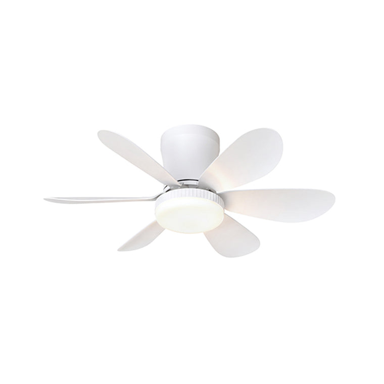 Radiant Rune 6 Blade Ceiling Fan with Light & Remote - White