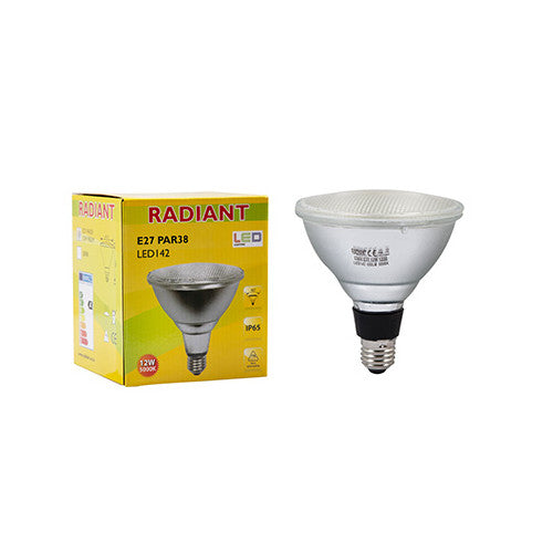 LED Bulb PAR38 E27 12W 5000K IP65