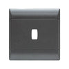 CBi Switch Ultra 1 Module Cover Plate 4x4