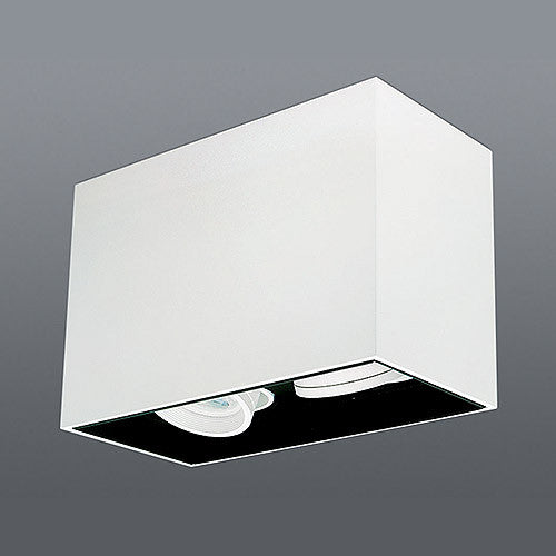 Spazio Lone Rectangular Tiltable Downlight - White/black insert